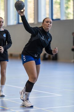 Bild 71 - wBJ HTS/BW96 Handball - Niendorfer TSV : Ergebnis: 27:27